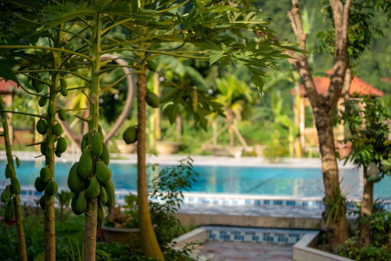 Tan Dinh Farmstay Ninh Bình Kültér fotó
