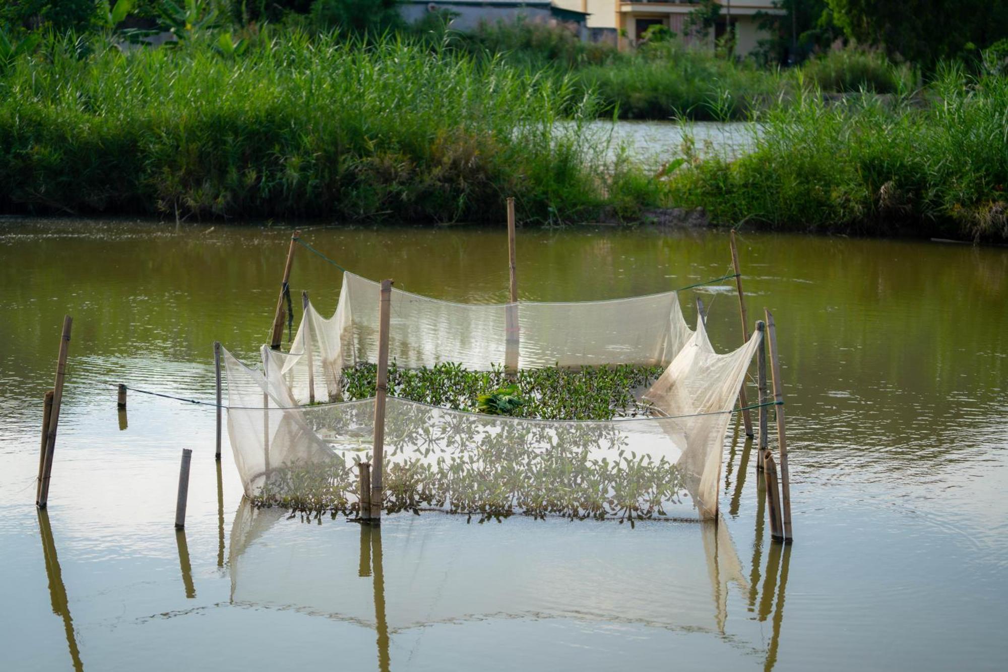 Tan Dinh Farmstay Ninh Bình Kültér fotó